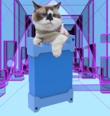 catPak.png