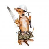puppy-construction-worker-cute-puppy-wearing-construction-tool-belt-holding-hammer-saw-isolate...jpg