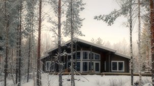 house_winter.jpg