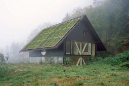 solar - stealth - green solar panels.jpg