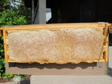 honeycomb.jpg