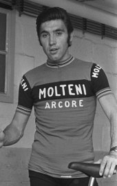 300px-Eddy_Merckx_Molteni_1973.jpg