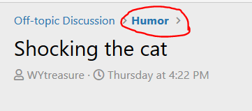 HUMOR Shocking the cat.PNG