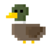 Duck1021